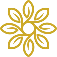 Indokombucha Online Class
